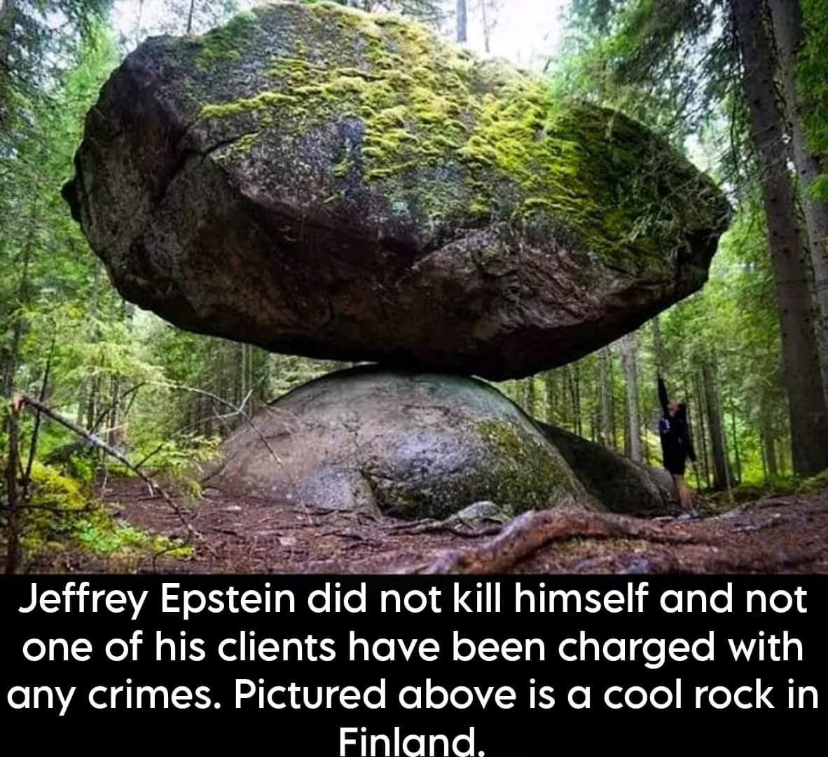 F8w5QtqWoAMqoz8?format=jpg&name=medium