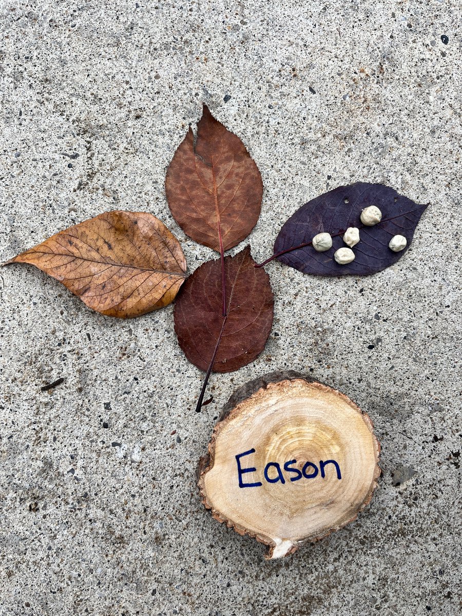 Kindergarten children headed to the wetlands for #TakeMeOutsideDay and built some beautiful art with nature <a href="/takemeoutside/">Take Me Outside</a>