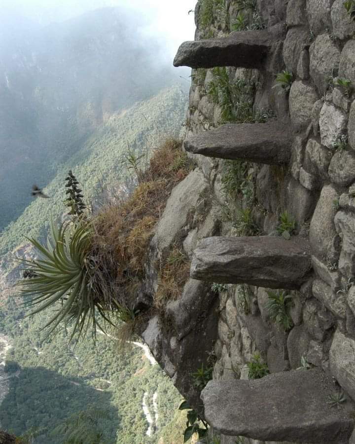 archeohistories's tweet image. 'Stairs of death' (15th Century CE), are a section of stone steps, built by Incas (1438-1533 CE), located at peak Huayna Picchu mountain, 2693m above sea level (one of steep mountains that overlooks Machu Picchu), Peru.

These stairs lead to top of Huayna Picchu, where we found…