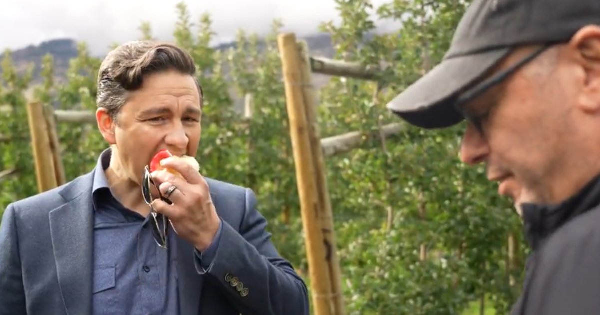 The new #MAGA .... Make Apples Great Again
#TrudeauStepDown 
#PierrePoilievre 
#ConservativeParty 
@DonaldTrumparo 
#Apples 
#Canada