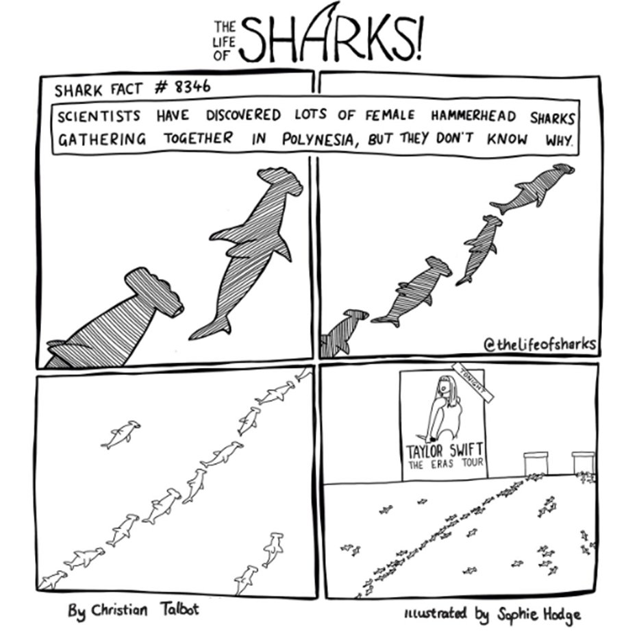 HuveneersSSEG's tweet photo. Always fun to see when your research makes it into @thelifeofsharks #BlancpainOceanCommitment #Mokarran #MokarranProtectionSociety #Sharks #HammerheadShark https://t.co/CuLOWJmO1J https://t.co/XSUgkIZJv3