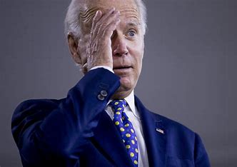 Wadaya think of that Osama Bin Biden fellow?  Ain't he an odiferous pile of excrement? Loves China and Iran. HATES the USA. May he "live short and suffer" (sorry Spock)