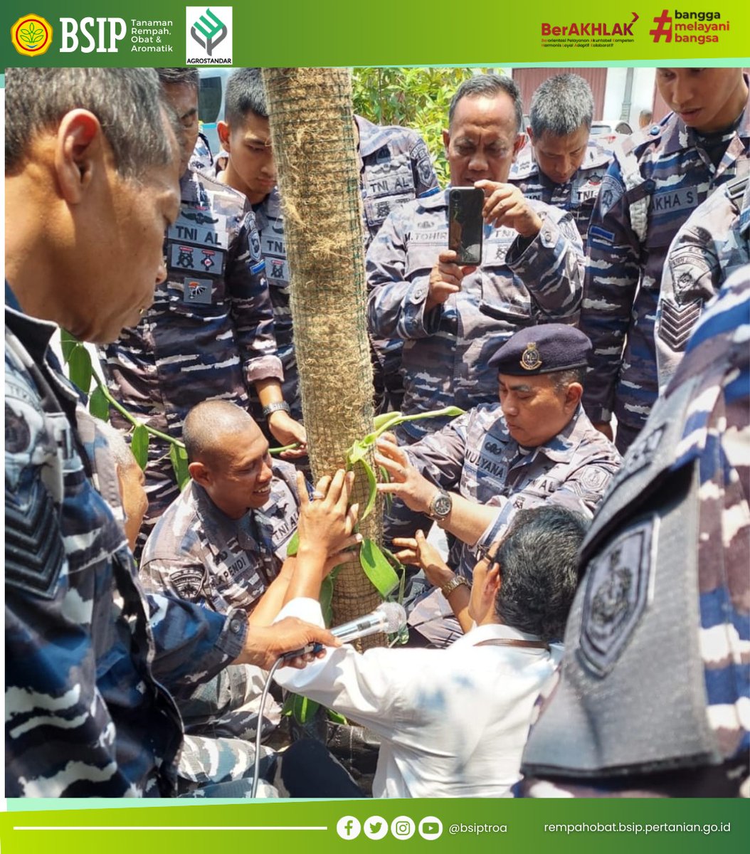 brmprempahobat's tweet photo. Rabu (18/10) Balai Pengujian Standar Instrumen Pertanian Tanaman Rempah, Obat dan Aromatik (BSIP TROA) dengan TNI Angkatan Laut bekerjasama menyelenggarakan kegiatan Bimbingan Teknis (Bimtek) budi daya vanili terstandar. (Azwar/BSIP-TROA)
#bsip
#bsiptroa
#majumandirimodern https://t.co/5yjrZEvU7F