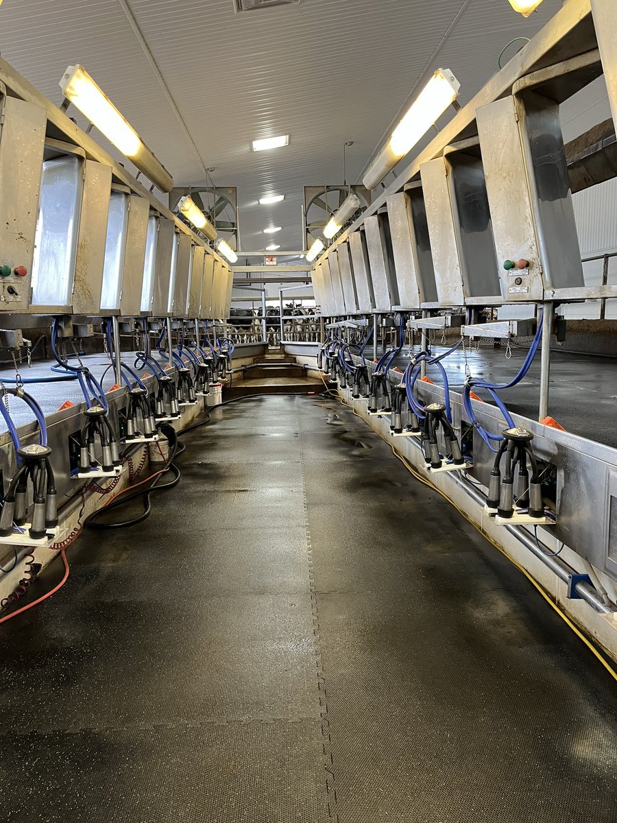 Agriviaggi by Elio Mastrangelo tweet media