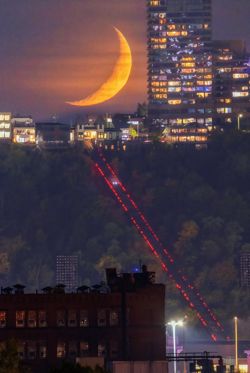 Dave DiCello tweet media