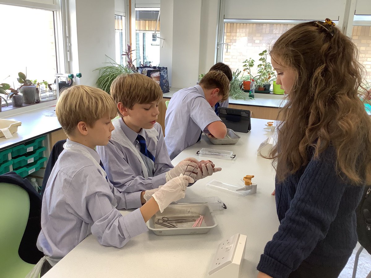 Dunottar Science tweet media