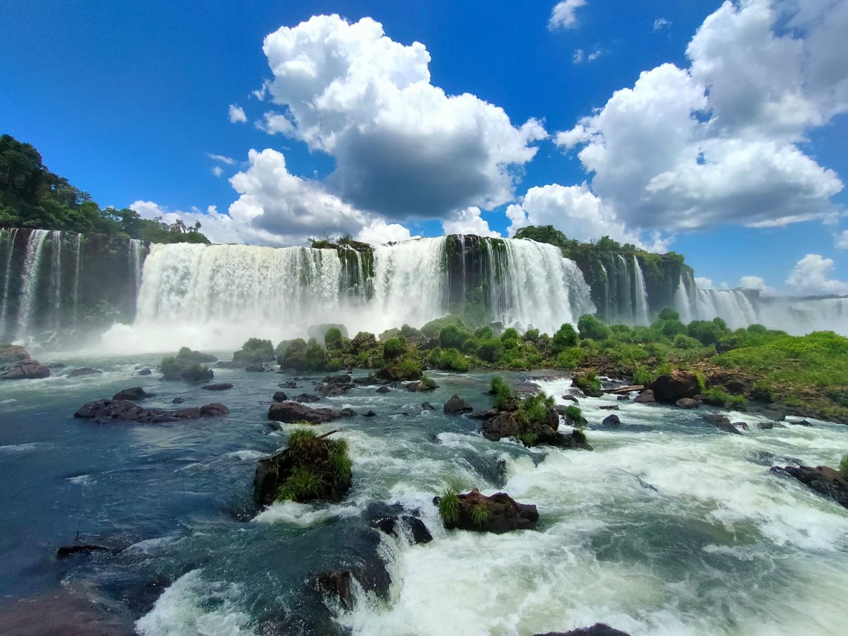 Marie Winter tweet media