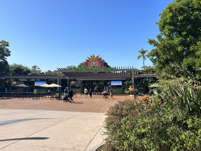 San Diego zoo for the day https://t.co/oKtBV7yx35