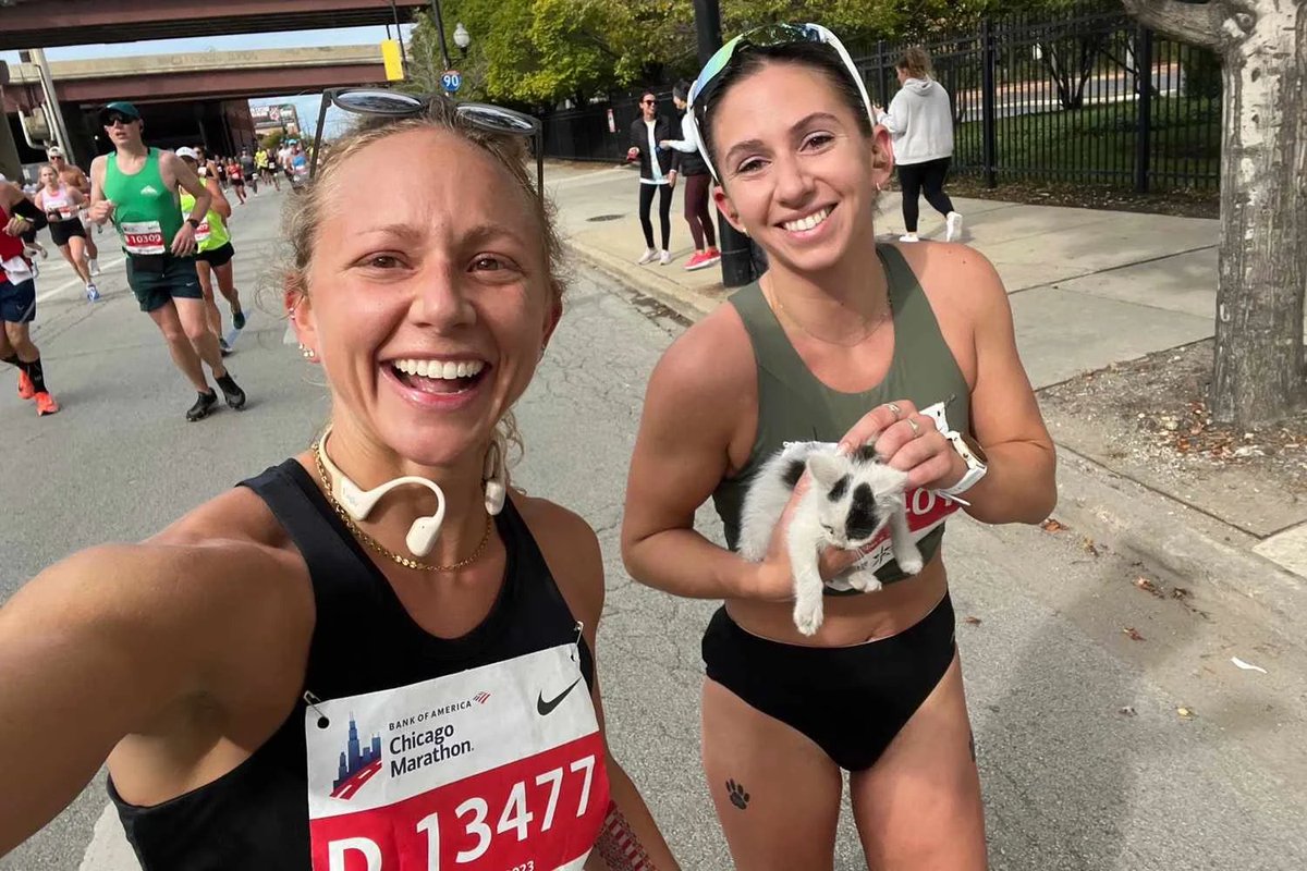 #ClapForSomeone...

THREE people with BIG hearts for stray KITTENS.

#1. Meet Sarah Bohan...she was running the Chicago Marathon and looking to record her best time ever.  But at Mile 21, she saw a small fluffy animal seemingly lost. 

It was a kitten!

“Dirty, scared and