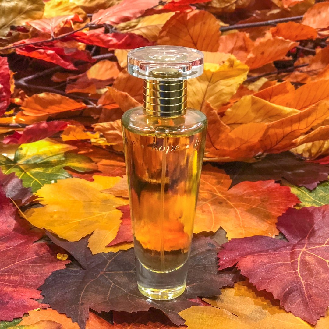 Let the aroma of Hope cradle you amidst the crisp feeling of Autumn! Shop Hope Original at hopefragrances.com
.
.
#fallscents #hopefragrances #hopenight #hopesport #fallcolors #autumn2023 #fall2023