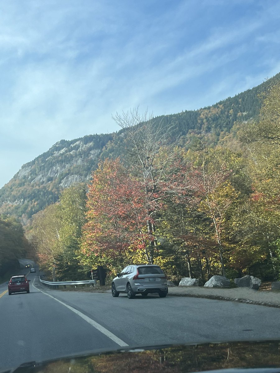 Arielle Arsenault-Benoit, PhD tweet media