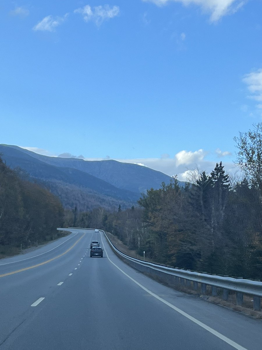 Arielle Arsenault-Benoit, PhD tweet media