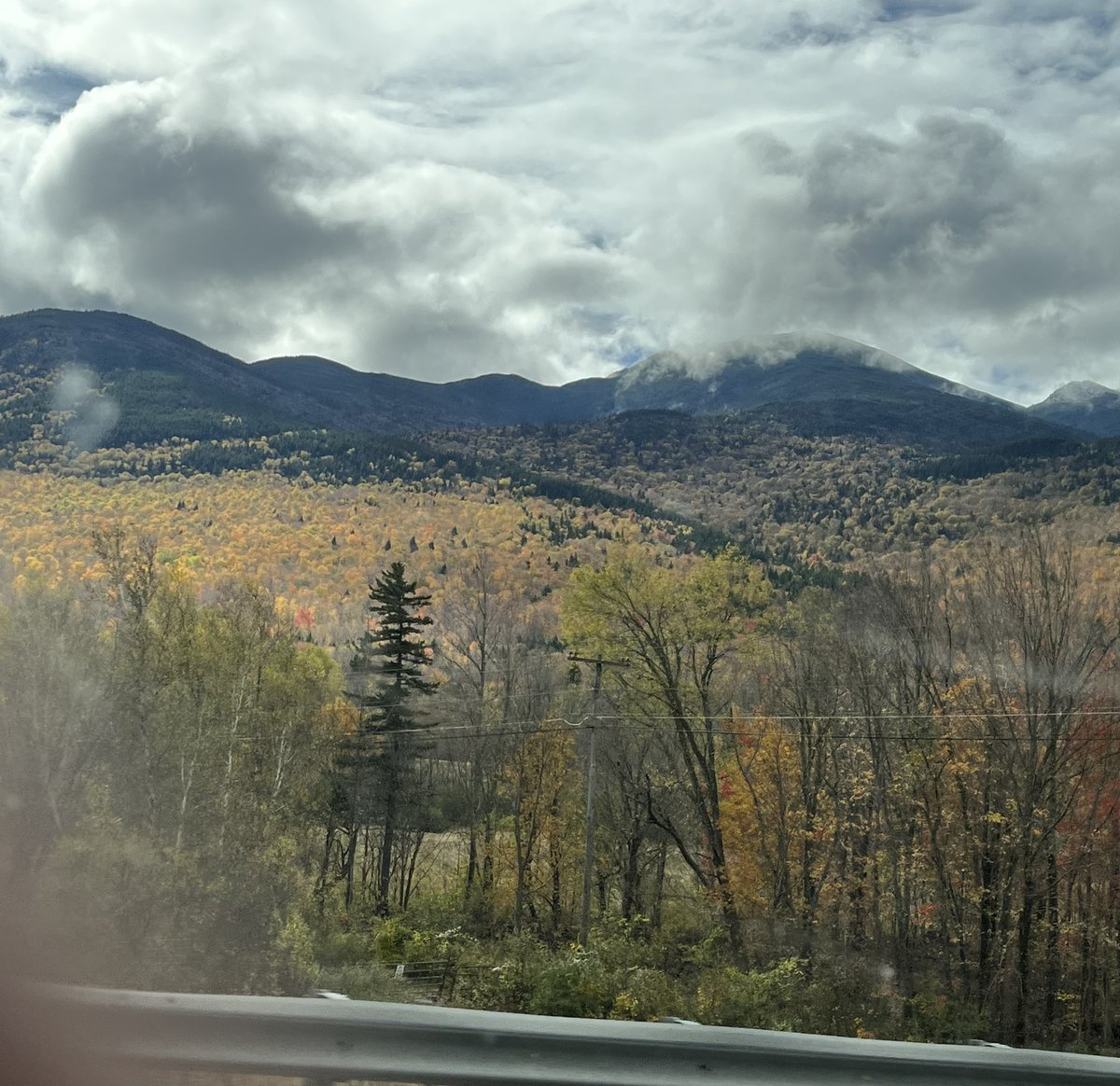 Arielle Arsenault-Benoit, PhD tweet media