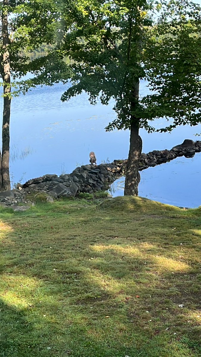 Arielle Arsenault-Benoit, PhD tweet media