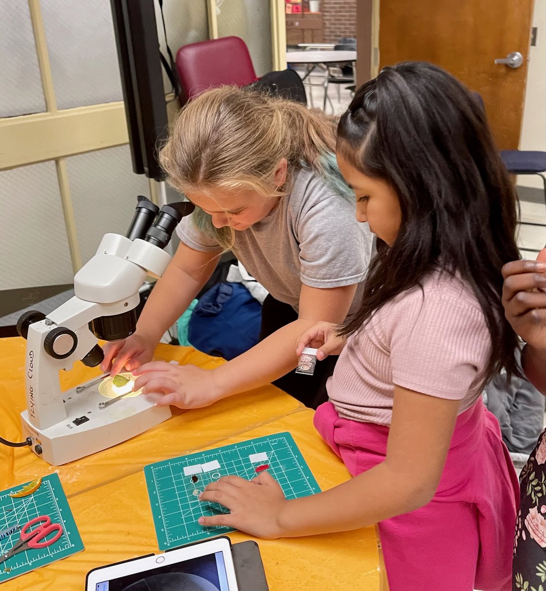 MassEarlyEdCare's tweet photo. 🌟 #MassSTEMWeek Highlight

@MassGovernor’s Western MA Director Kristen Elechko visited Flying Cloud Institute’s Young Women in Science afterschool program this week at the Conte Community School in Pittsfield w/ @MAPafterschool!

#SeeYourselfinSTEM #YourSTEMfutureisOurSTEMfuture https://t.co/pcHIQvnIM0