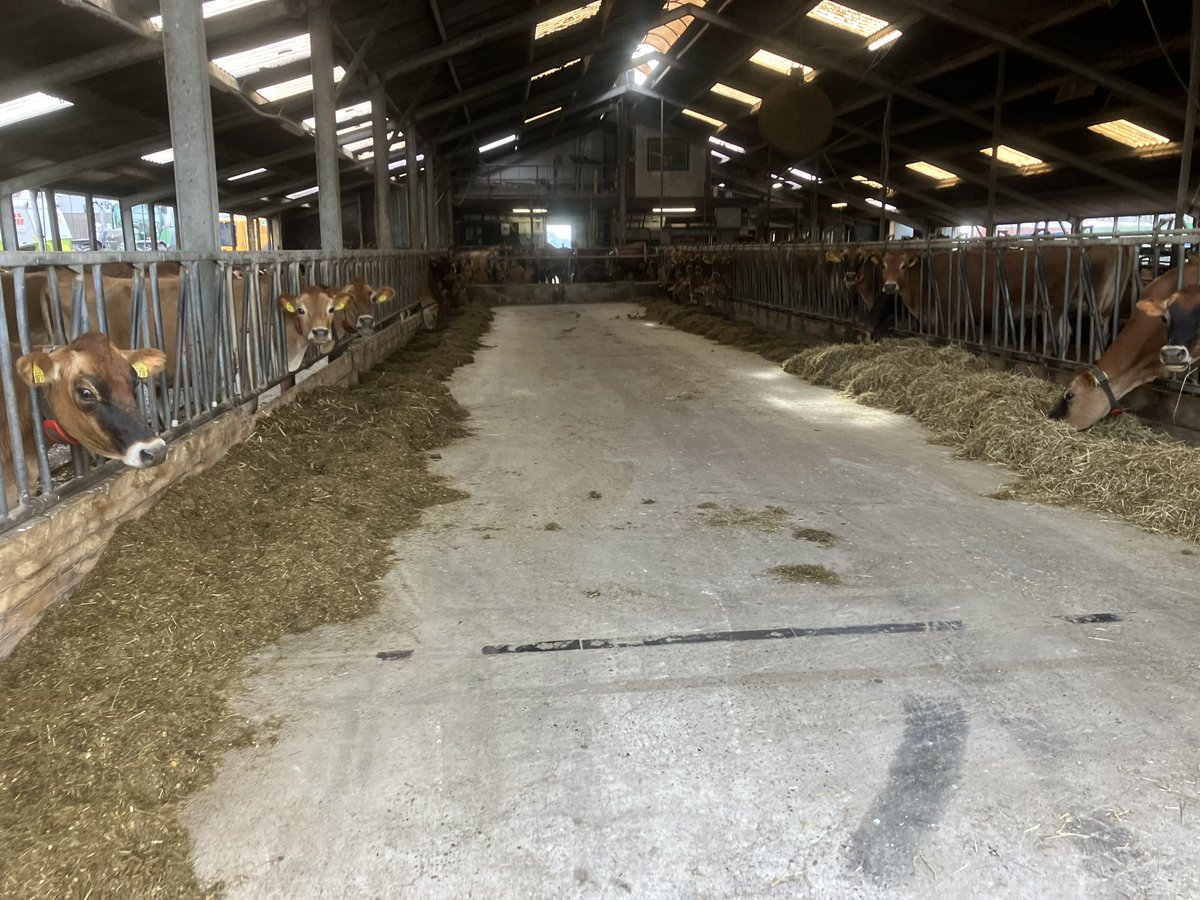 Bijeenkomst #MDM van bodem naar voer in koe.