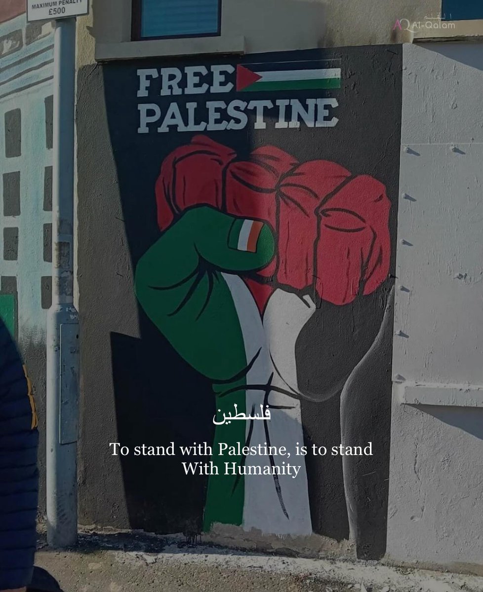 Shehzad719's tweet photo. فلسطین 🇵🇸
#فلسطين_الان #PalestineGenocide #GazaHospital #hospital https://t.co/plnFTKJuN4
