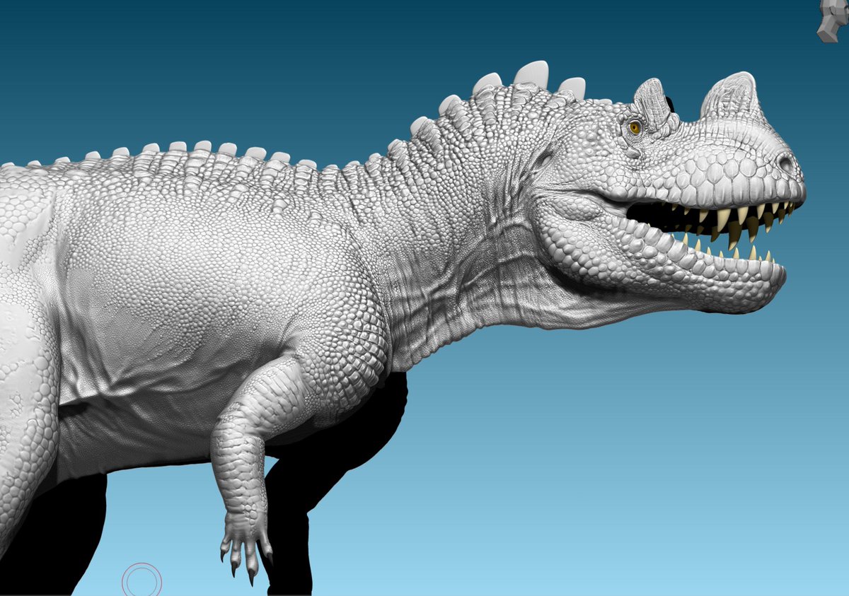 Podcreature tweet media