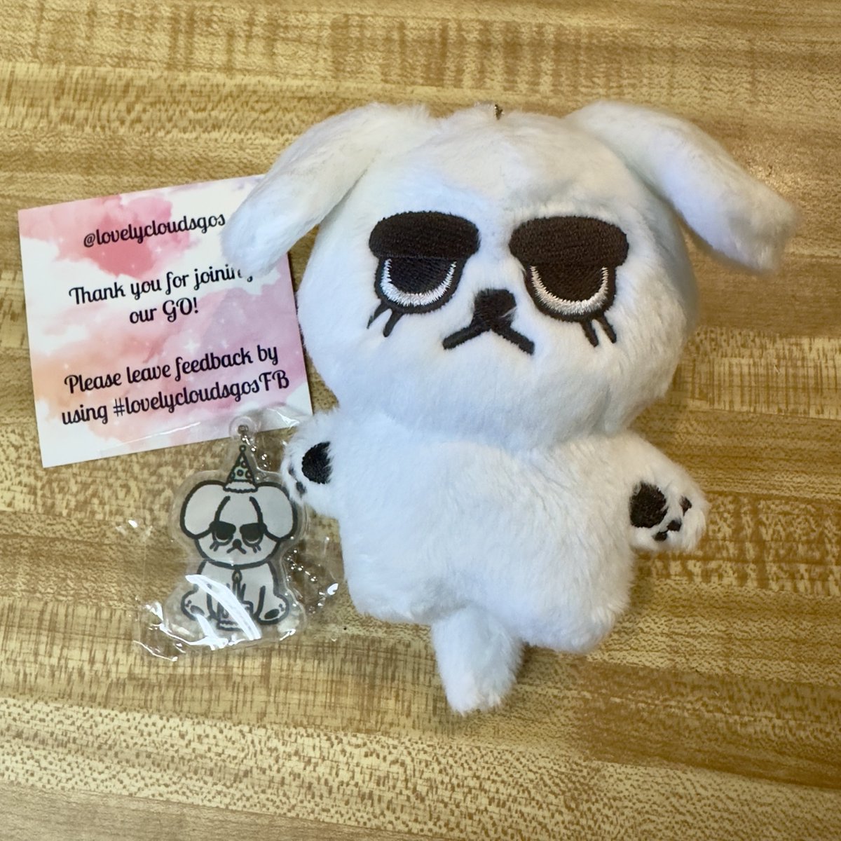 music_remedy33's tweet photo. Thank you @lovelycloudsgos! I can finally add a #XIAOJUN doll to my collection! 💚
#lovelycloudsgosFB https://t.co/L1FccTCzOm