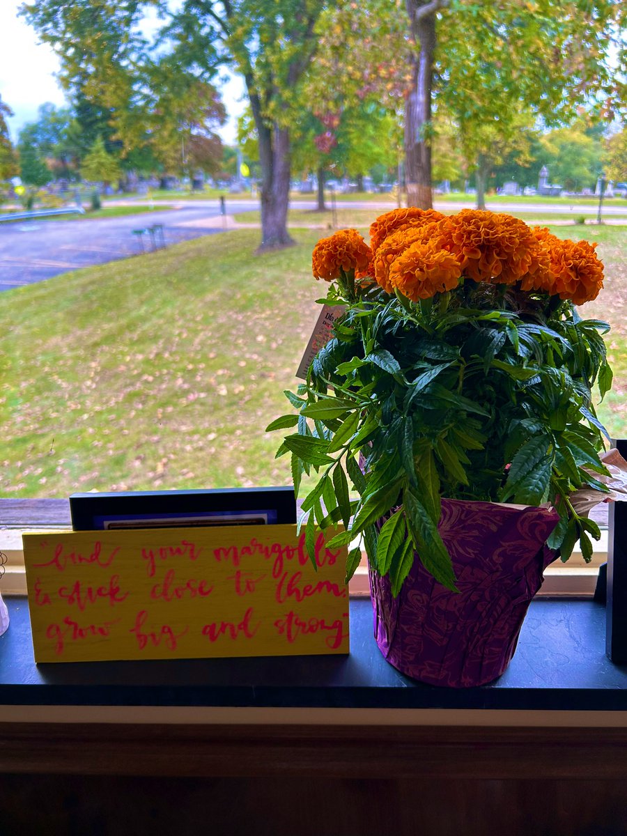 Came across a marigold today and had to buy it for my office. A reminder of and recommitment to purpose, joy and growth! #herewegrow 🌱🌻🌳 cultofpedagogy.com/marigolds