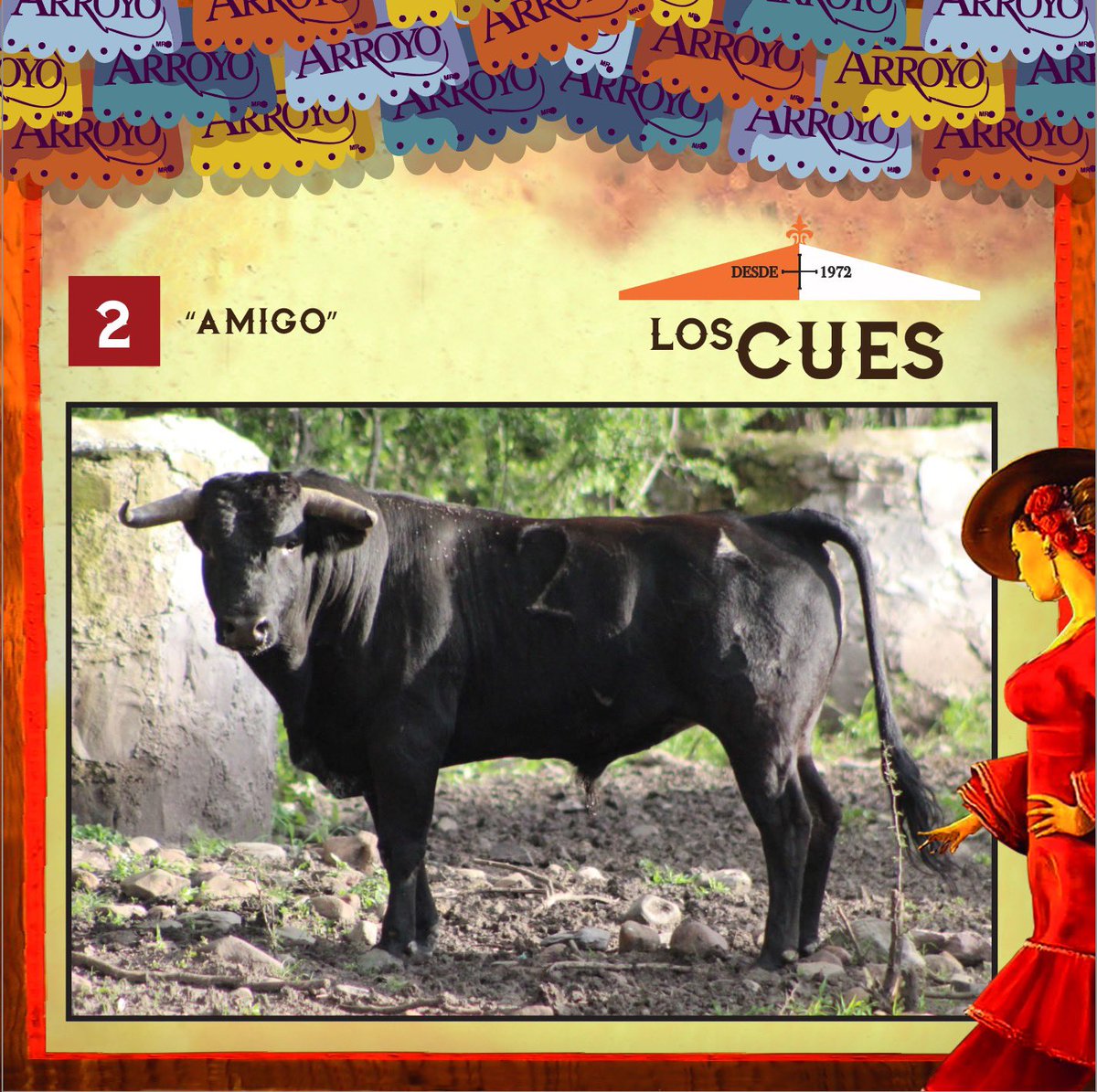 jemcito's tweet photo. Estos son los novillos de De Haro, Los Cues, La Antigua y Jose Arroyo para la Novillada de Triunfadores de este viernes alas 20.00 horas en @ArroyoTorosMx con Emiliano Osornio como único espada. @aleearroyo https://t.co/Je88hRbuJc