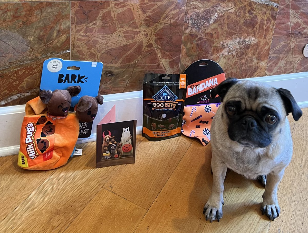 Ellie (Emma’s sis) tweet media