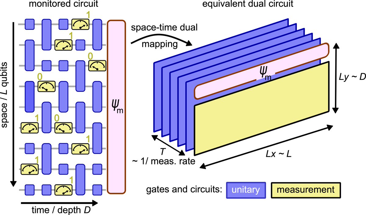 Understanding quantum entanglement, when the state of one particle affects another, is an open challenge in physics. Here we show how measurements affect a web of entangled qubits and, for the first time, measurement-induced quantum teleportation. goo.gle/3ZYOtVp