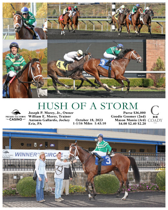 William E. Morey (@wemracing) on Twitter photo Thanks Hush making two wins today <a href="/PID_Casino/">Presque Isle Downs & Casino</a> purchased <a href="/OBSSales/">OBSSales</a> by <a href="/RodenBloodstock/">Roden Bloodstock</a> another good ride <a href="/jockeygallardo/">Antonio Gallardo</a> . Trained on <a href="/TapetaF/">Michael Dickinson</a> <a href="/TurfwayPark/">Turfway Park Racing & Gaming</a> . Thanks @CoadyPhoto Thanks Hush making two wins today <a href="/PID_Casino/">Presque Isle Downs & Casino</a> purchased <a href="/OBSSales/">OBSSales</a> by <a href="/RodenBloodstock/">Roden Bloodstock</a> another good ride <a href="/jockeygallardo/">Antonio Gallardo</a> . Trained on <a href="/TapetaF/">Michael Dickinson</a> <a href="/TurfwayPark/">Turfway Park Racing & Gaming</a> . Thanks @CoadyPhoto