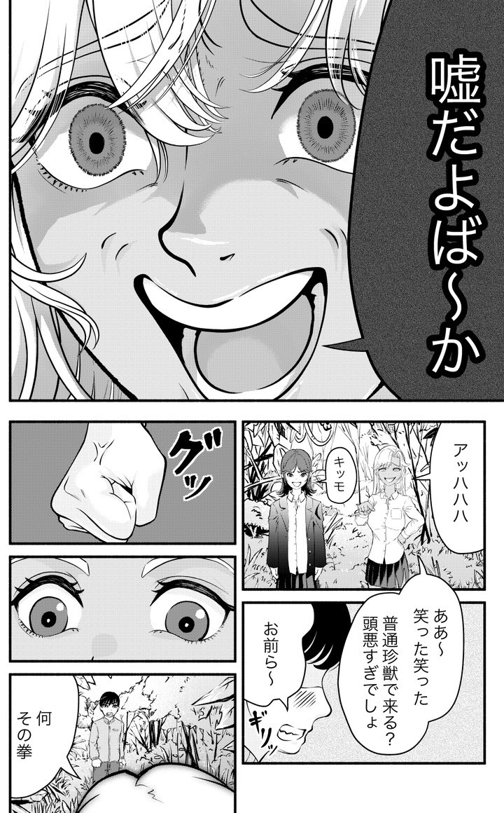 (5) 