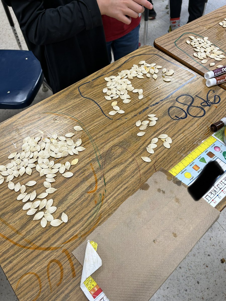 First we gutted our pumpkins then we counted how many seeds we had in our pumpkins by using 100 charts and grouping! Lots of problem solving and guess and check methods!