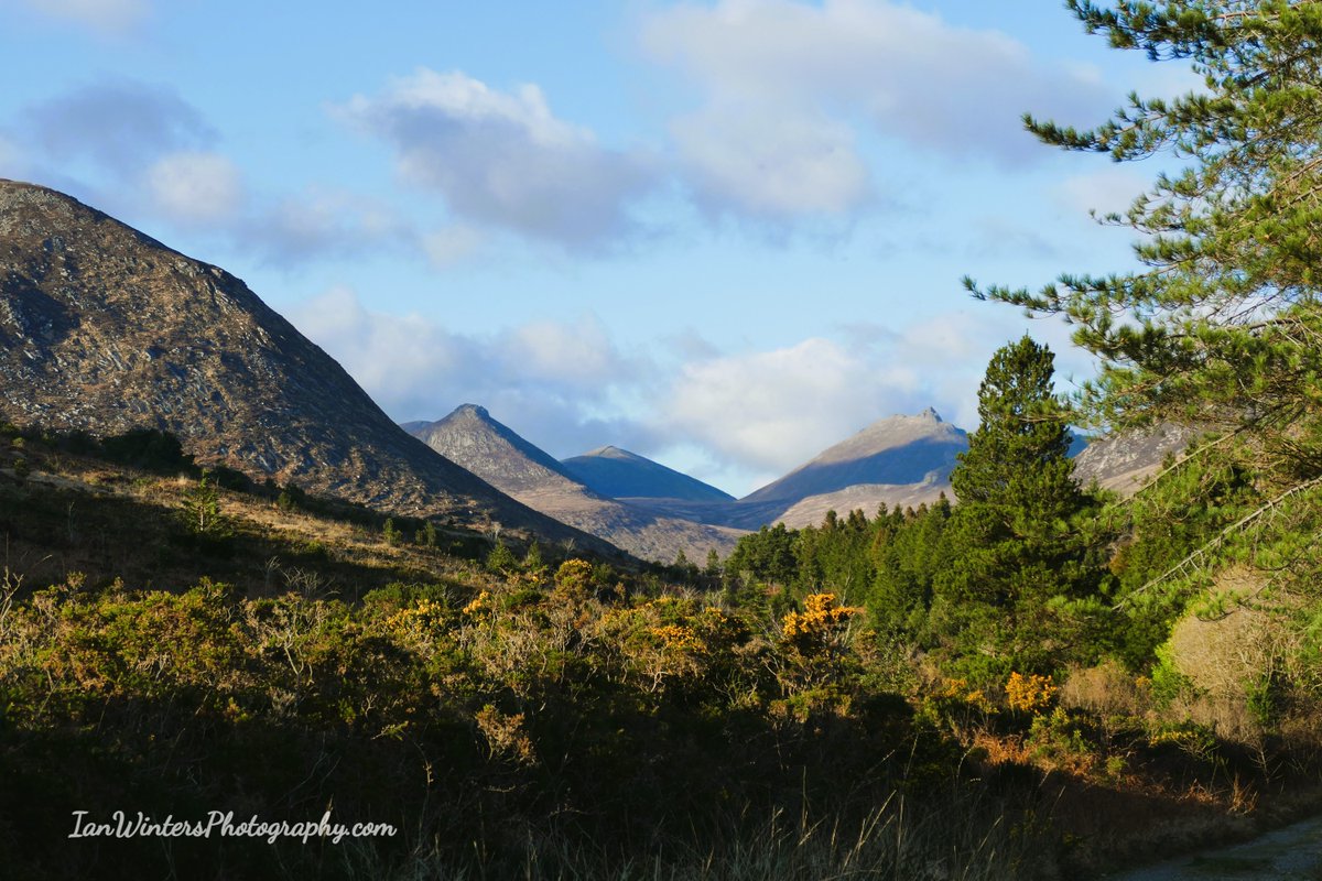 IanWintersPhoto's tweet photo. Few snaps from a Spring visit to Silent Valley Reservoir in Co Down Northern Ireland. Well worth the visit

#silentvalley #silentvalleyni #tourismnorthernireland #tourismni #mournemountains #failteireland #codown #hikelife #hike #photooftheday #photography #landscapephotography https://t.co/XRu6ajDGe1