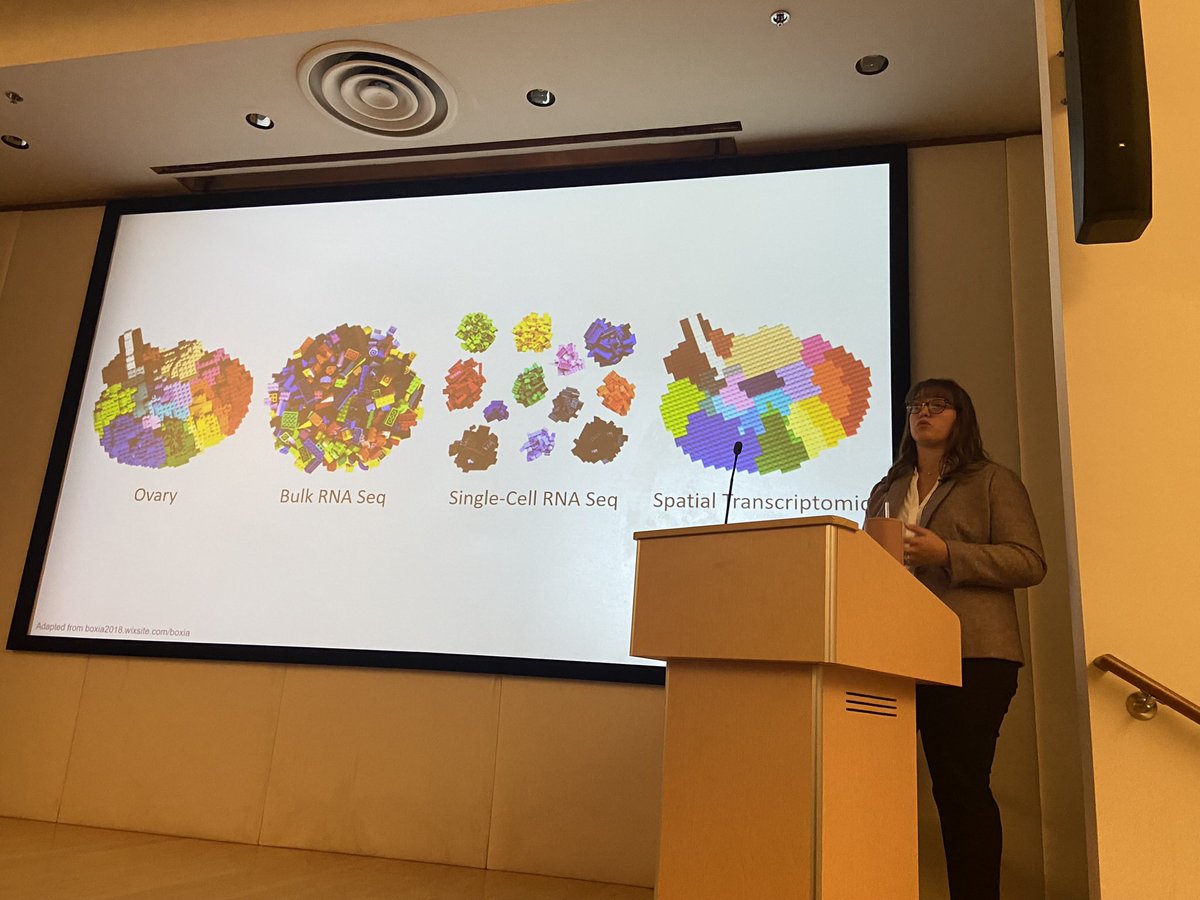 Congratulations 🎉 to Dr. Andrea Jones for brilliantly defending her thesis!
I’m excited to see your progress as a scientist and academic. <a href="/ShikanovLab/">Shikanov Lab</a> <a href="/UMBME/">U-M BME</a> #biomaterials #follicles