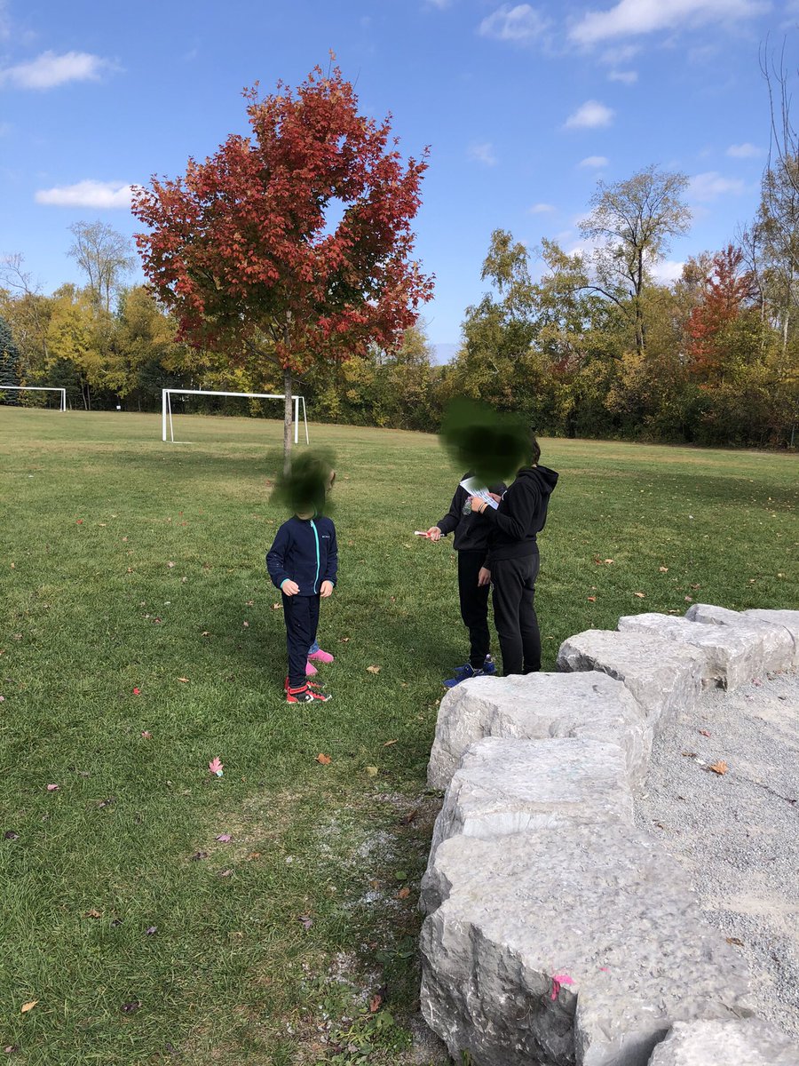 Gina Marucci (@maruccig) on Twitter photo #TakeMeOutsideDay at @RLGrahamPS <a href="/YRDSB/">York Region DSB</a> <a href="/YRDSBEcoSchools/">YRDSB EcoSchools</a> included a story journey, bird watching, field guide exploration and a nature scavenger hunt all led by student leaders #TakeMeOutsideDay at @RLGrahamPS <a href="/YRDSB/">York Region DSB</a> <a href="/YRDSBEcoSchools/">YRDSB EcoSchools</a> included a story journey, bird watching, field guide exploration and a nature scavenger hunt all led by student leaders