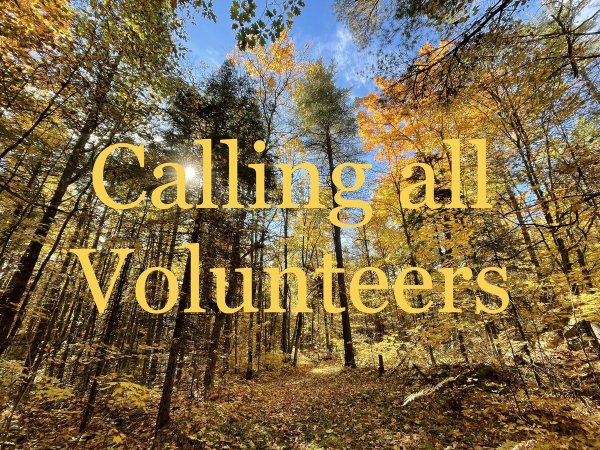 Enjoy a day of clearing trails, chopping wood, or helping out with other tasks at Kawartha Nordic. Volunteer work will be ongoing during weekends in October and November. Sign up and pick you dates on our ivolunteer platform today!
kn.ivolunteer.com/trailwork_23