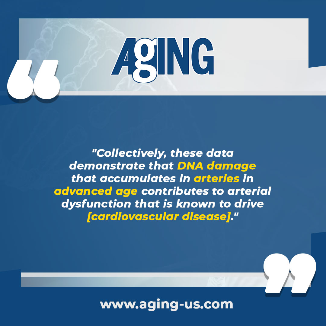 Aging-US tweet media