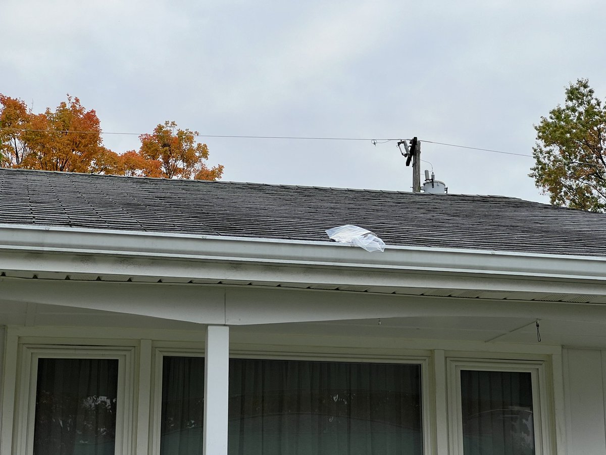 ryanemain's tweet image. Not really appreciative @frednewspost for my mother’s paper delivery this morning.  #justabitoutside