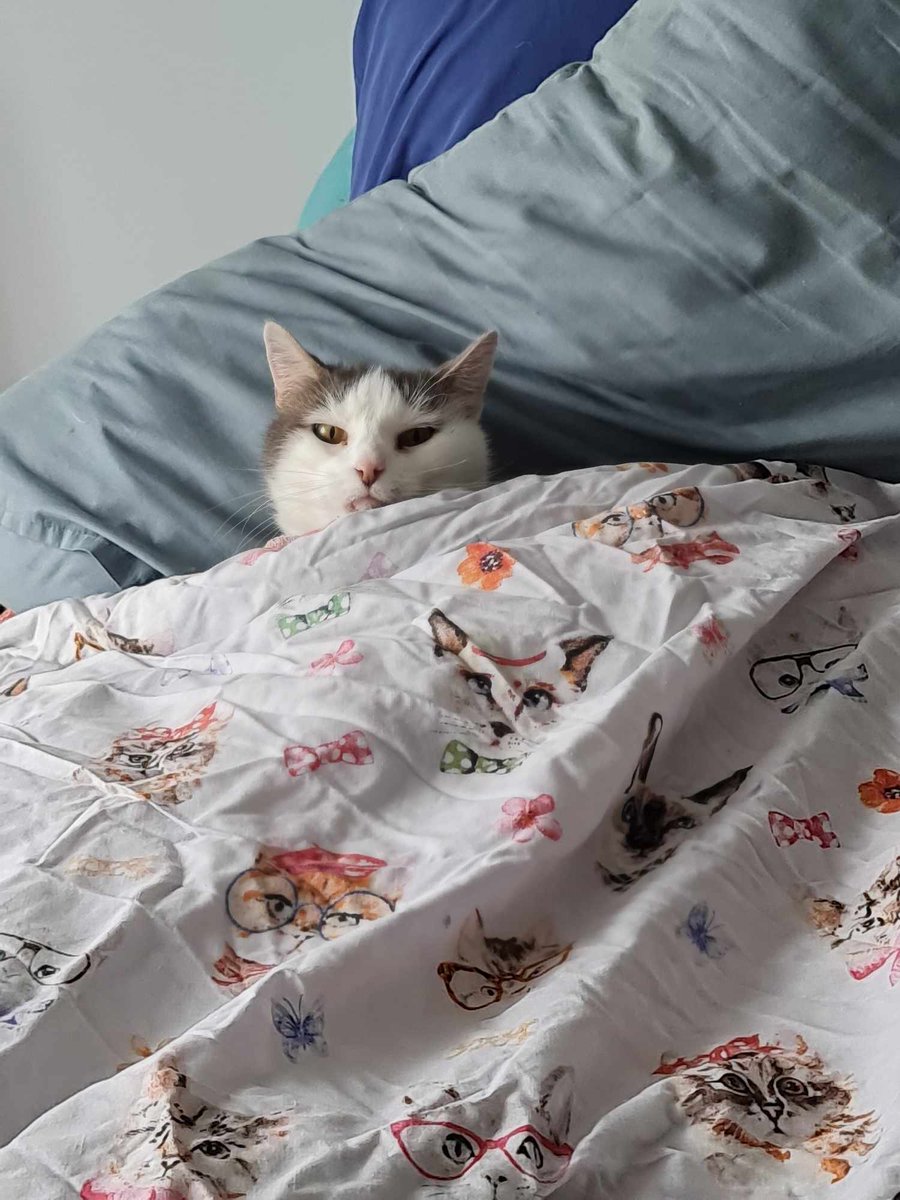 Cuddly_Burrito's tweet image. I am feeling like you today Cupid!!
#isittheweekendyet #idontwanttogetoutofbed