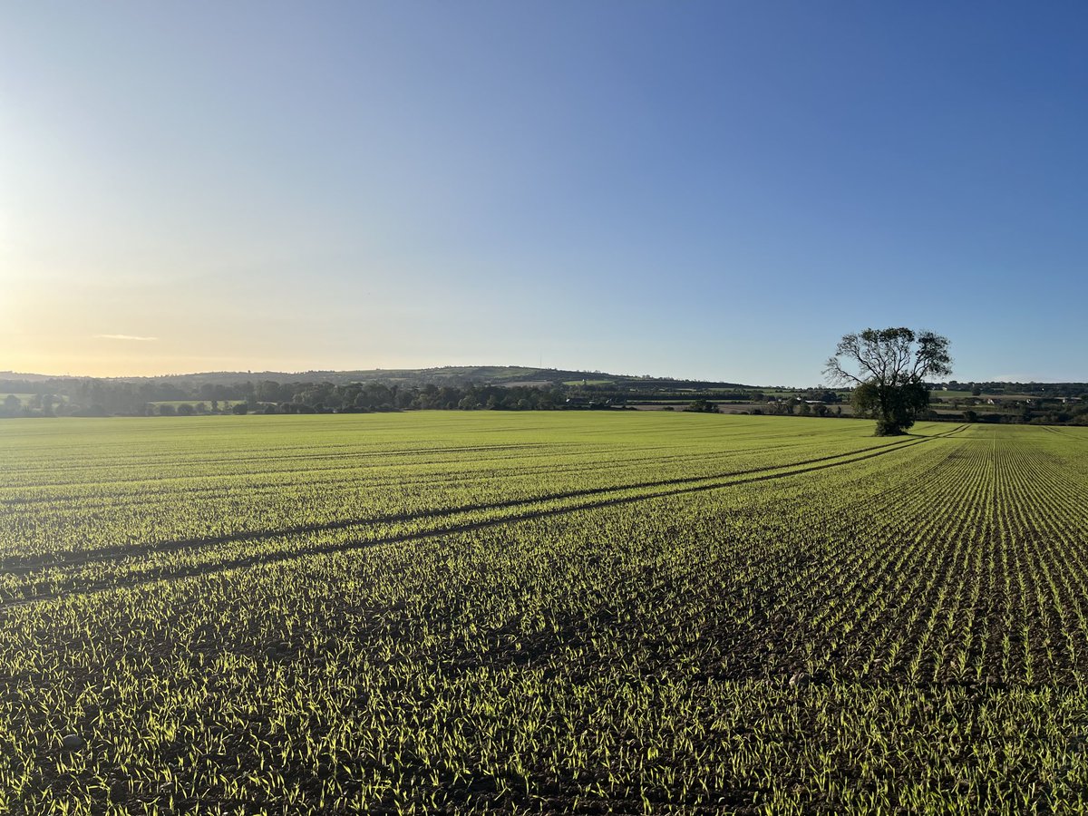 Pics I like this week. #whytebros #soil #newholland #farmingphotos #barley