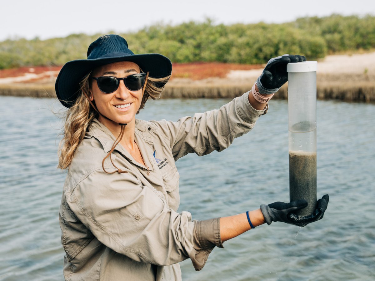 Australian Institute of Marine Science (@aims_gov_au) on Twitter photo Could a humble tropical #seaweed called sargassum help with #climatechange? 🤔 The new #BlueCarbon Seascapes project funded by AIMS and <a href="/bhp/">BHP</a> will investigate.
🔗Learn more: ow.ly/wotz50PXYYG
<a href="/FultoFish/">Chris Fulton</a> <a href="/coral_kay/">Dr. Kay Davis</a> <a href="/AIMS_CEO/">AIMS</a> Could a humble tropical #seaweed called sargassum help with #climatechange? 🤔 The new #BlueCarbon Seascapes project funded by AIMS and <a href="/bhp/">BHP</a> will investigate.
🔗Learn more: ow.ly/wotz50PXYYG
<a href="/FultoFish/">Chris Fulton</a> <a href="/coral_kay/">Dr. Kay Davis</a> <a href="/AIMS_CEO/">AIMS</a>