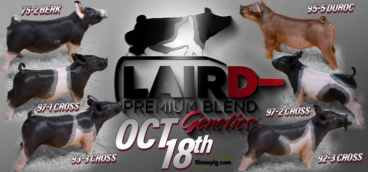 Ted Laird tweet media