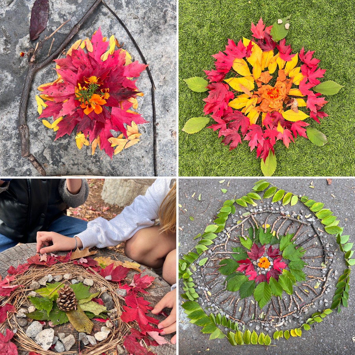 Another amazing #TakeMeOutsideDay and week with the junior classes at <a href="/BrownPSPanthers/">Brown Public School</a>! Every year, I am blown away by the creativity and imagination in the students’ nature and #andygoldsworthy inspired land art 😍