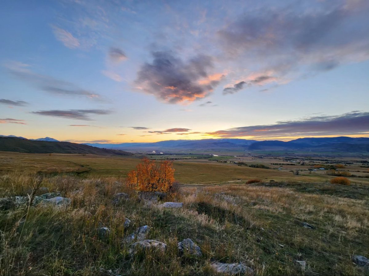 It's been a beautiful fall in Montana. However, snow is in the forecast, and it's time to fill the freezer.