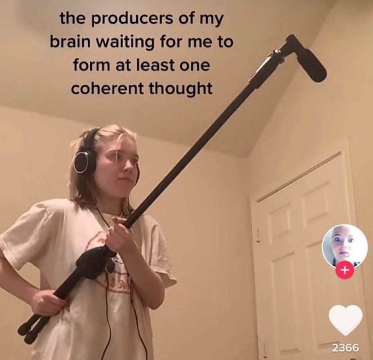 Wild TikToks (@wildtiktokss) on Twitter photo 