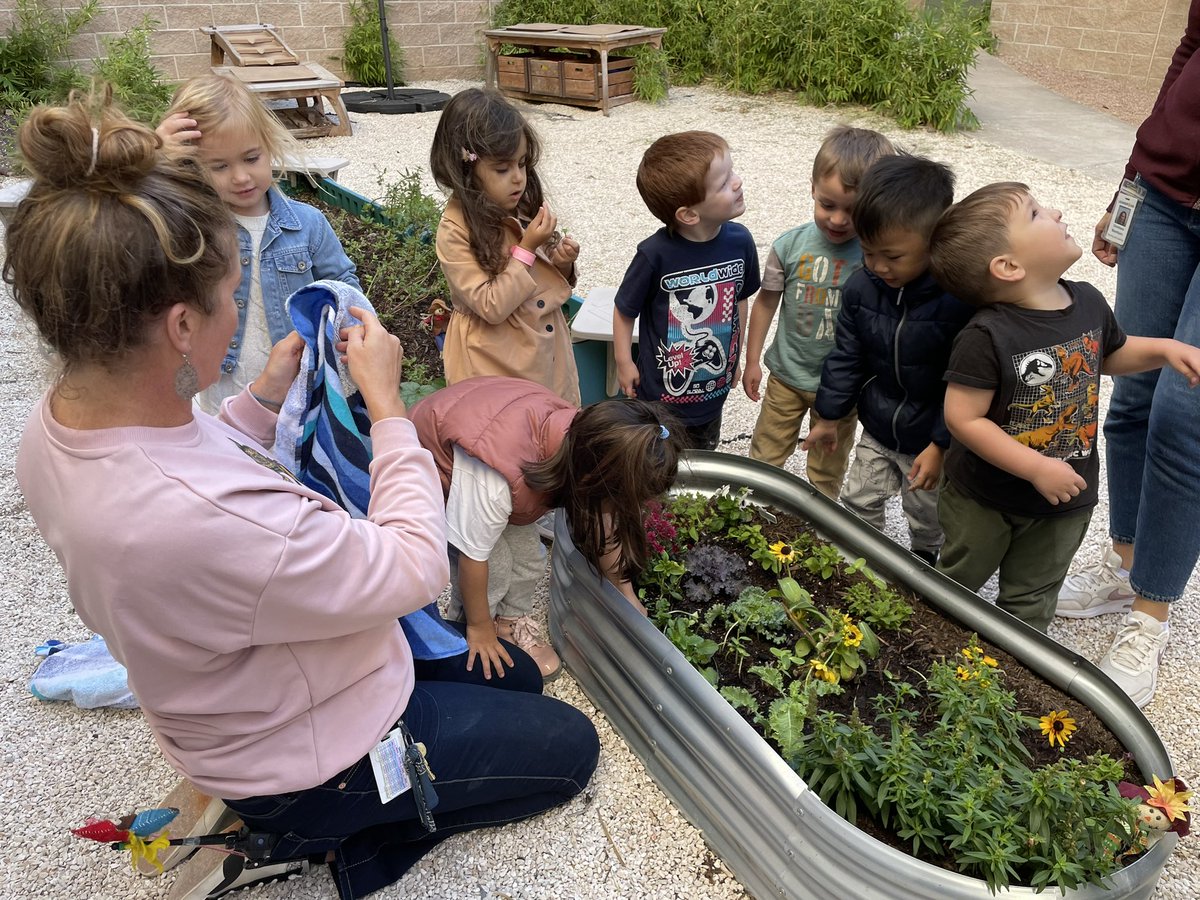 Grandview Hills tweet media