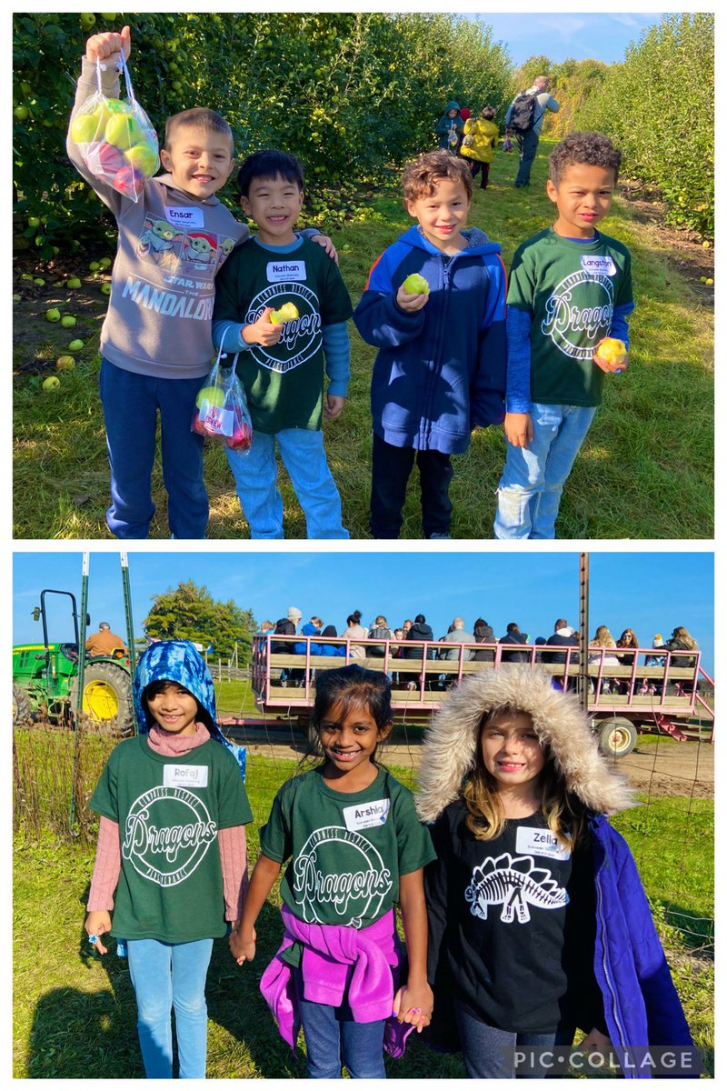 Jillian Pertler tweet media