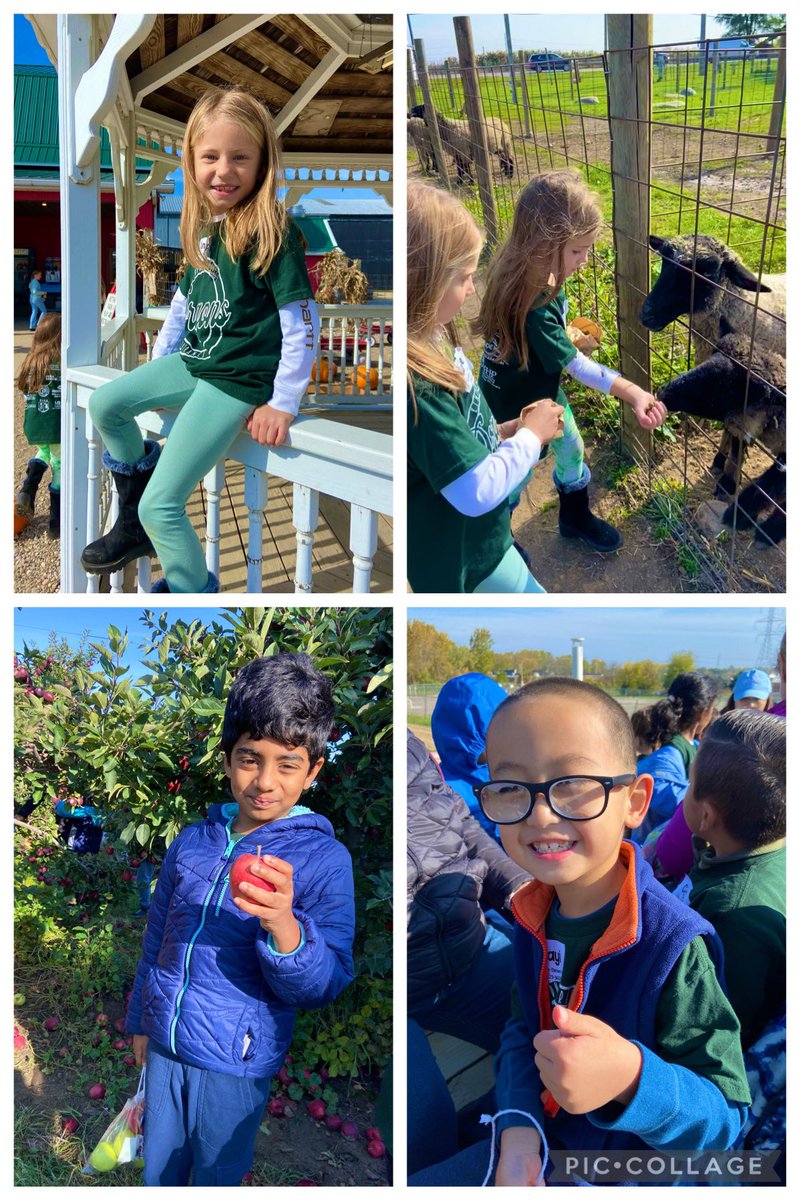 Jillian Pertler tweet media