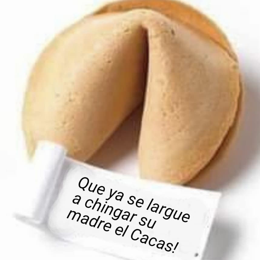 ALF ZÚÑIGA tweet media