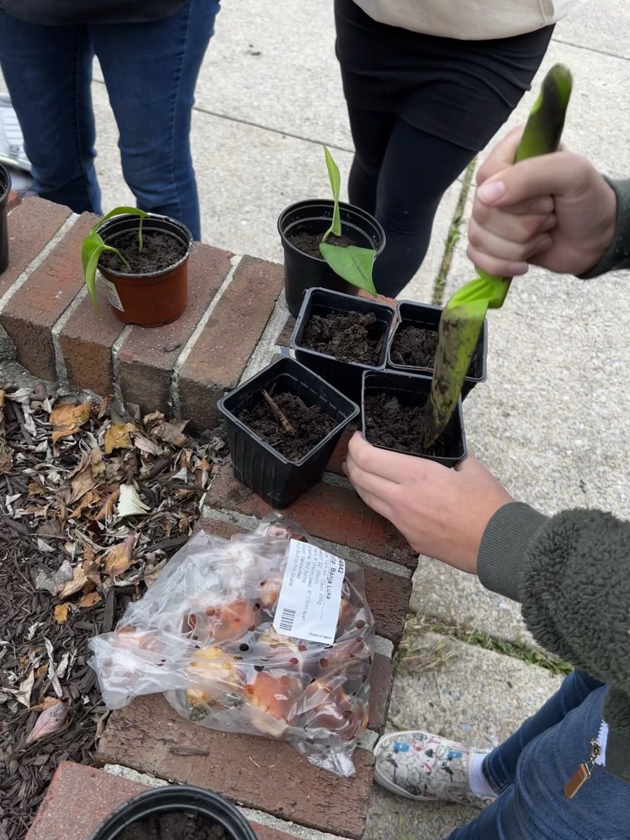 Ms. Kristine Long tweet media