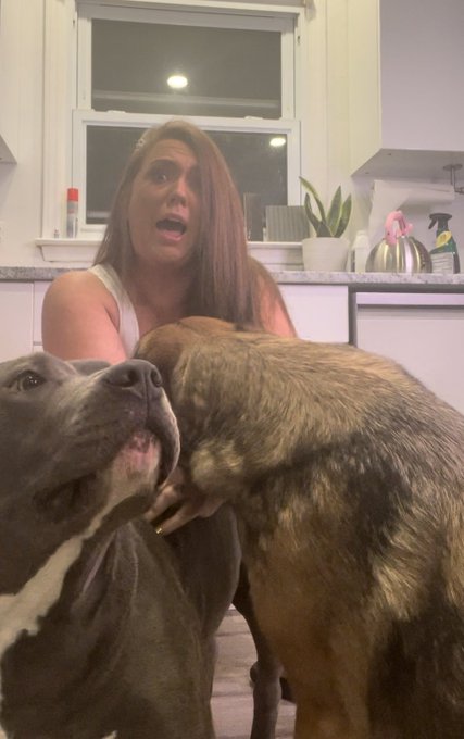 Crashing my pics 😂 https://t.co/WgvavKPBxS