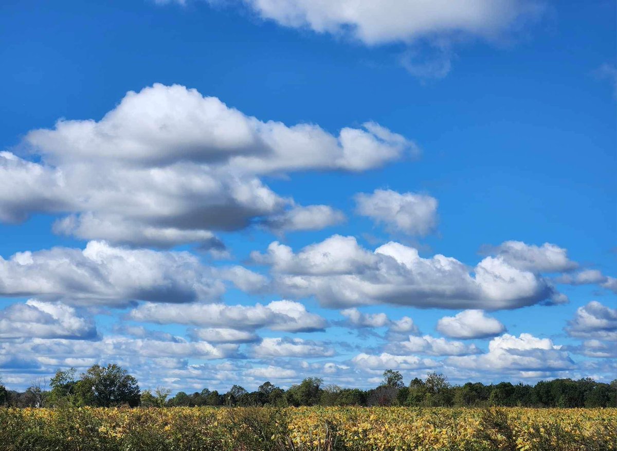 Southern Maryland RC&D tweet media